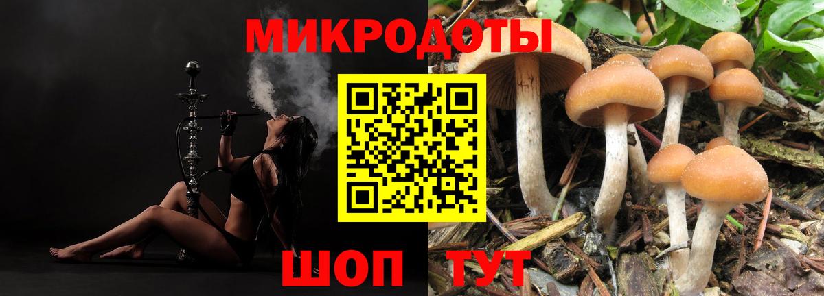 Галлюциногенные грибы Psilocybine cubensis  Вход с VPN  цена наркотик  Нурлат  Псилоцибиновые грибы мухоморы 